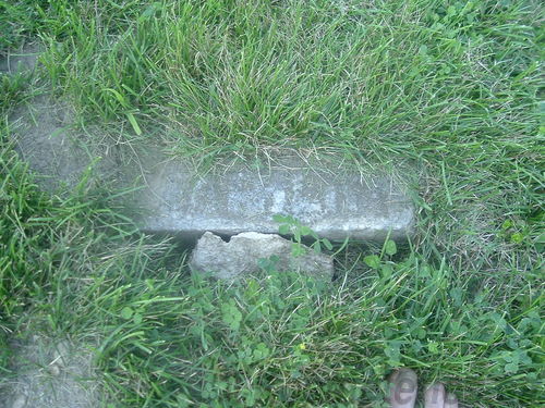 Click to view full size image