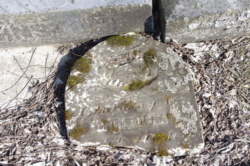 Click to view full size image