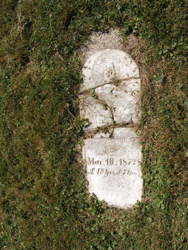 Click to view full size image