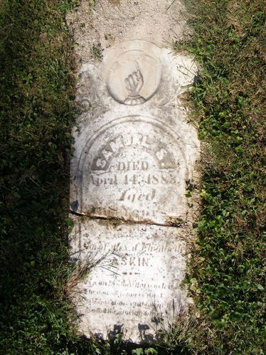 Click to view full size image