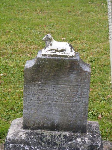 Click to view full size image