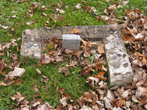 Click to view full size image