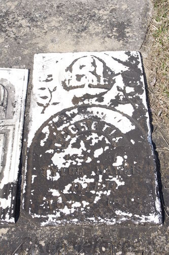 Click to view full size image