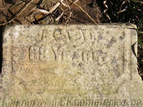 Click to view full size image