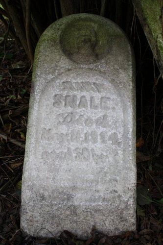 Click to view full size image