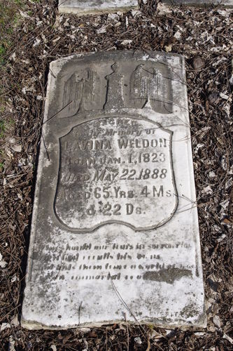 Click to view full size image