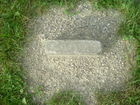 Filename=2010_0712Image0076.JPG
Filesize=493KiB
Dimensions=1280x960
Date added=Jul 14, 2010 2010_0712Image0076.JPG