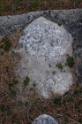 Filename=2010_1120Image0007.JPG
Filesize=454KiB
Dimensions=866x1299
Date added=Nov 21, 2010 2010_1120Image0007.JPG