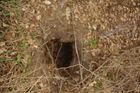 Filename=2010_1204Image0016.JPG
Filesize=978KiB
Dimensions=1299x866
Date added=Dec 05, 2010 2010_1204Image0016.JPG