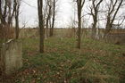 Filename=2010_1204Image0017.JPG
Filesize=944KiB
Dimensions=1299x866
Date added=Dec 05, 2010 2010_1204Image0017.JPG