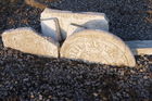 2010_1211Image0005.JPG