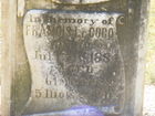 DSCF2399.JPG