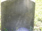 Filename=DSCF2424.JPG
Filesize=1505KiB
Dimensions=1299x974
Date added=Sep 06, 2010 DSCF2424.JPG