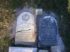 Filename=DSCF2563.JPG
Filesize=1527KiB
Dimensions=1299x974
Date added=Sep 20, 2010 DSCF2563.JPG
