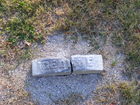 Filename=DSCF2713.JPG
Filesize=1496KiB
Dimensions=1299x974
Date added=Sep 21, 2010 DSCF2713.JPG