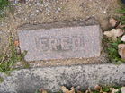 Filename=DSCF5399.JPG
Filesize=328KiB
Dimensions=1099x824
Date added=Nov 17, 2013 DSCF5399.JPG