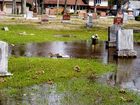 Filename=Ducks_at_Cem.jpg
Filesize=366KiB
Dimensions=792x594
Date added=Jan 06, 2012 Ducks_at_Cem.jpg