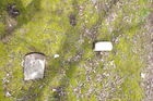 IMGP0322.JPG