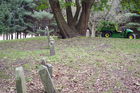 Filename=IMGP0612~0.JPG
Filesize=934KiB
Dimensions=1100x733
Date added=Dec 25, 2011 IMGP0612~0.JPG