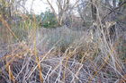 Filename=IMGP1196.JPG
Filesize=937KiB
Dimensions=1100x733
Date added=Nov 12, 2012 IMGP1196.JPG