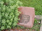 Filename=O_E_7.JPG
Filesize=1678KiB
Dimensions=1299x974
Date added=Jul 29, 2010 O_E_7.JPG