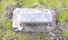 Filename=Thelma.jpg
Filesize=848KiB
Dimensions=1074x633
Date added=Apr 21, 2011 Thelma.jpg