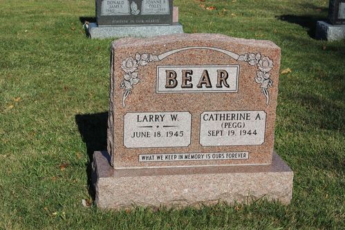 Click to view full size image