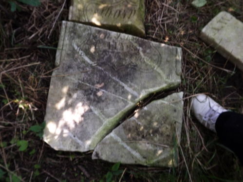 Click to view full size image