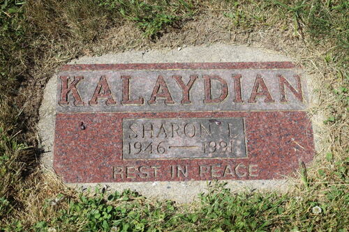 Click to view full size image