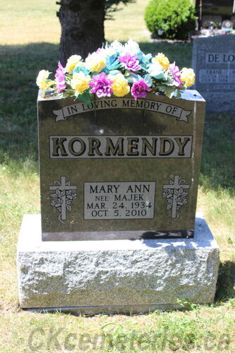 Click to view full size image