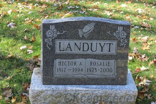 Click to view full size image