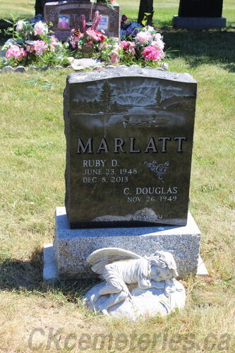 Click to view full size image