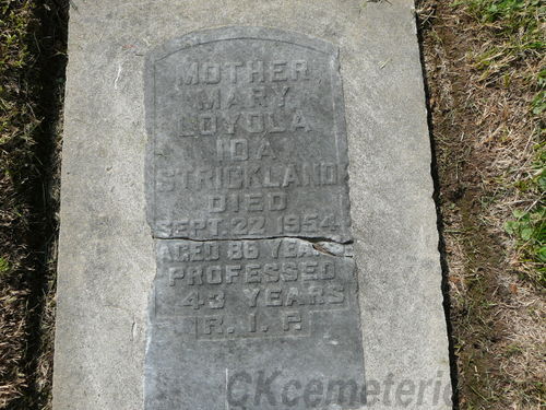 Click to view full size image