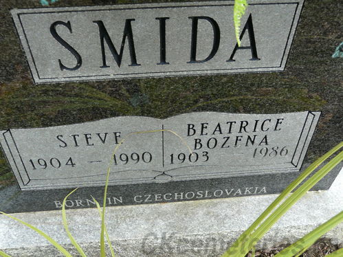 Click to view full size image