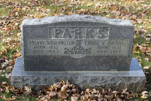 Click to view full size image