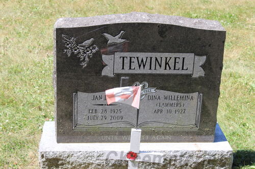 Click to view full size image