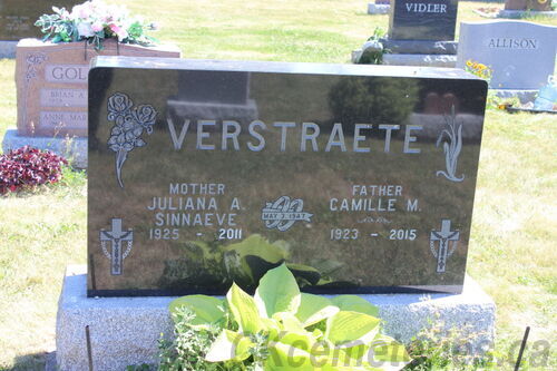 Click to view full size image