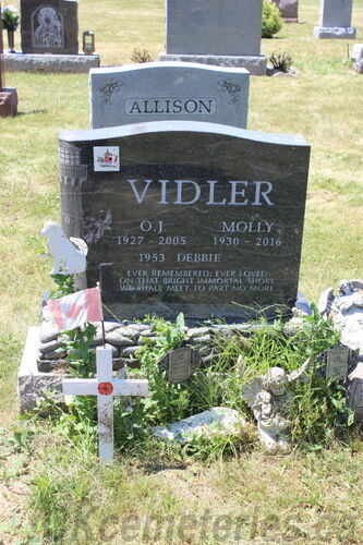 Click to view full size image