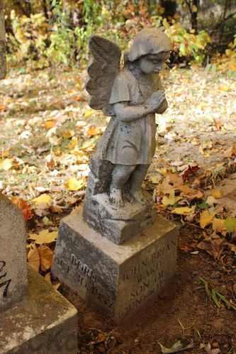 Click to view full size image