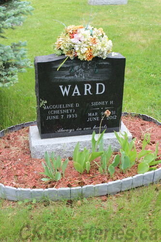 Click to view full size image