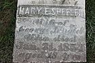 Filename=Arnold2C_Mary_E_28Sheeler29_w_o_George_28229.JPG
Filesize=230KiB
Dimensions=1100x733
Date added=May 06, 2020 Arnold2C_Mary_E_28Sheeler29_w_o_George_28229.JPG