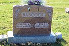 Filename=Babcock2C_Harold_N___Eva_I.JPG
Filesize=256KiB
Dimensions=1100x733
Date added=Mar 17, 2024 Babcock2C_Harold_N___Eva_I.JPG