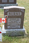 Burns2C_Geo.jpg