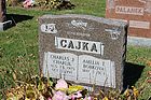 Cajka2C_Charles_J___Amelia_T_28Bobkova29.JPG