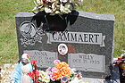 Cammaert2C_Wil.jpg