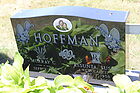 Hoffman2C_Mur.jpg