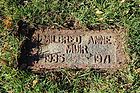 Filename=Muir2C_Mildred_Anne_28229.JPG
Filesize=370KiB
Dimensions=1100x733
Date added=Mar 08, 2024 Muir2C_Mildred_Anne_28229.JPG