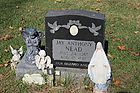 Nead2C_Jay_Anthony.JPG