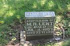 Filename=Orris2C_Harry_adptd_s_o_M_R_Lent.JPG
Filesize=245KiB
Dimensions=1100x733
Date added=May 06, 2020 Orris2C_Harry_adptd_s_o_M_R_Lent.JPG