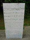P1050187.JPG